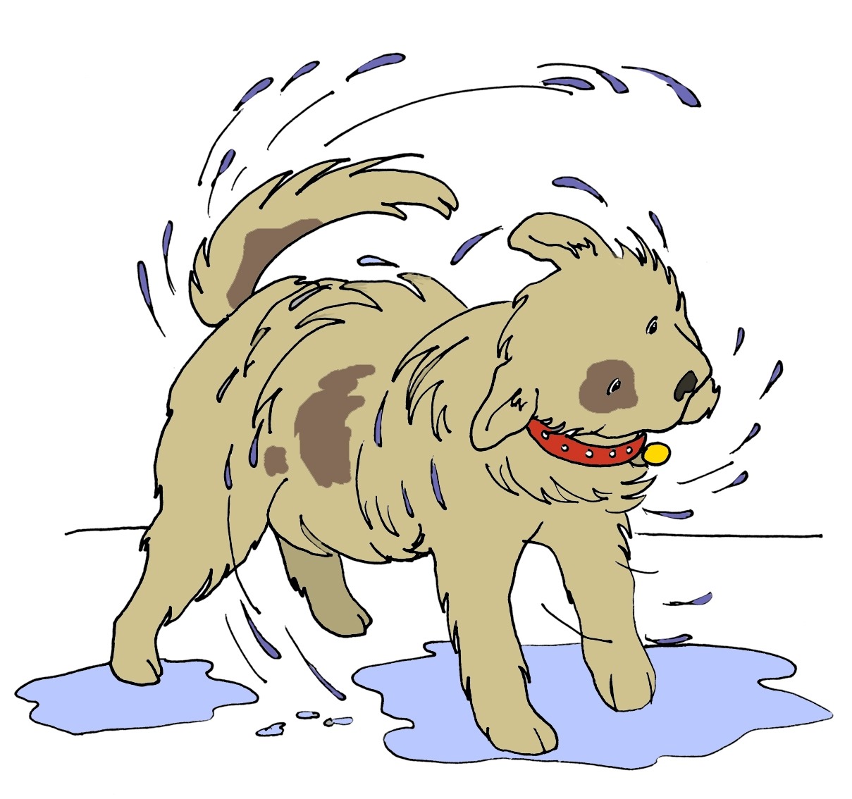 wet dog clip art